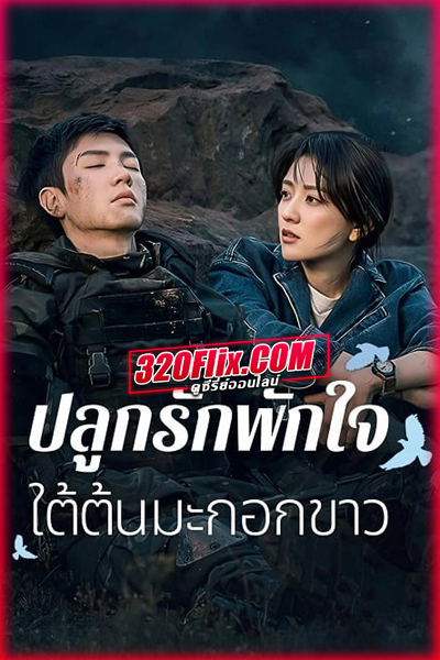 ดูซีรี่ย์ The White Olive Tree ปลูกรักพักใจ ใต้ต้นมะกอกขาว (2025) พากย์ไทย EP.1-38 (จบ)